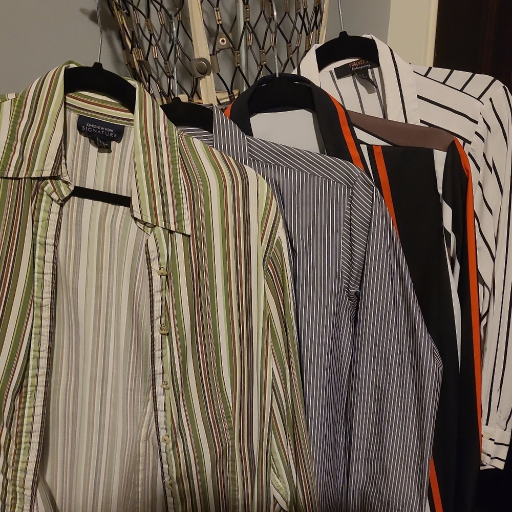 Button Down Stripe Bundle - image 1